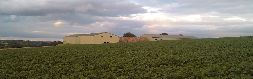 View of farm from field