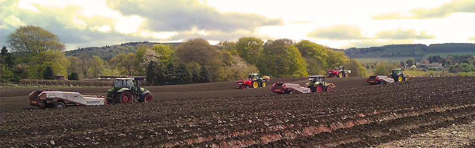 Tractors in Field