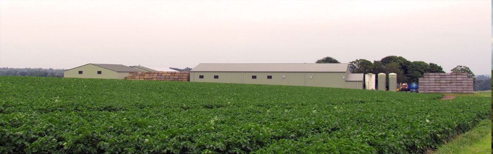 View of farm from field